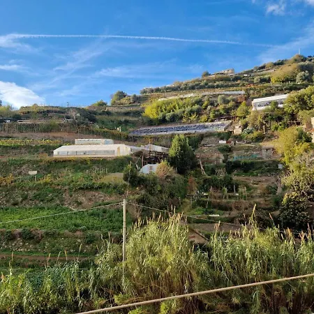 Casa Basilico *